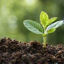 Resultados duraderos